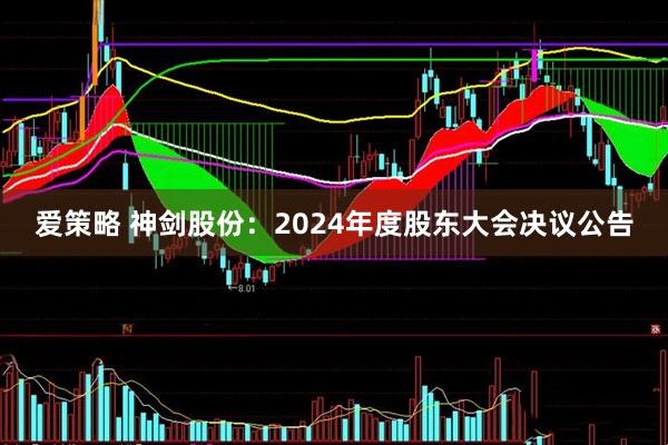 爱策略 神剑股份：2024年度股东大会决议公告