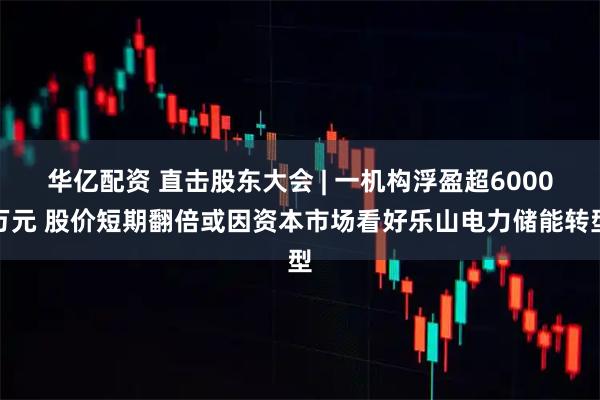 华亿配资 直击股东大会 | 一机构浮盈超6000万元 股价短期翻倍或因资本市场看好乐山电力储能转型