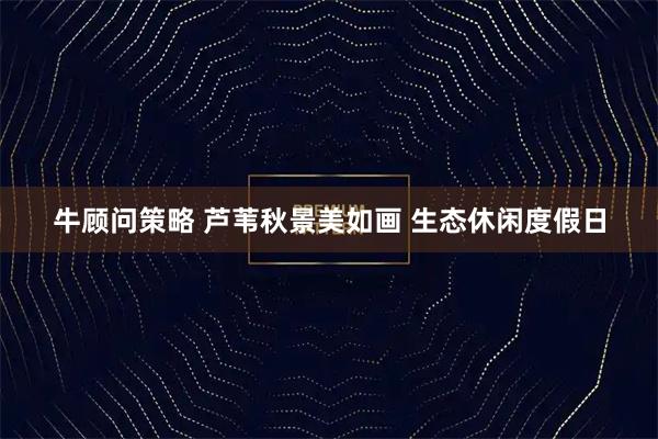 牛顾问策略 芦苇秋景美如画 生态休闲度假日