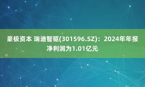 豪极资本 瑞迪智驱(301596.SZ)：2024年年报净利润为1.01亿元