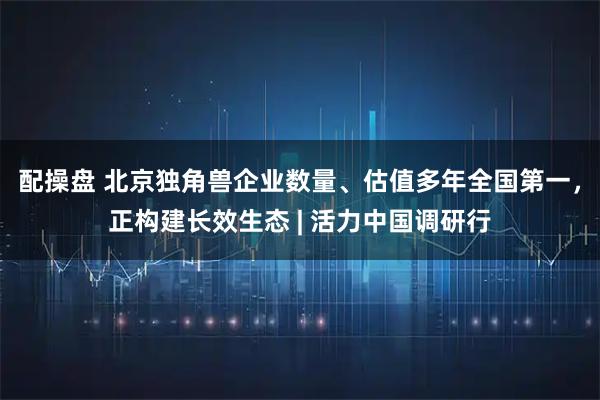 配操盘 北京独角兽企业数量、估值多年全国第一，正构建长效生态 | 活力中国调研行