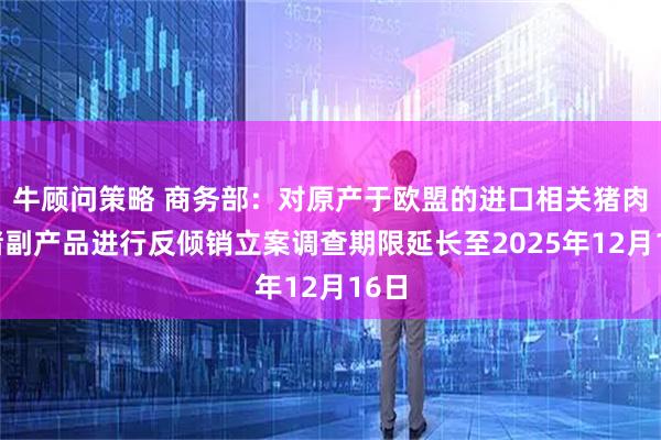 牛顾问策略 商务部：对原产于欧盟的进口相关猪肉及猪副产品进行反倾销立案调查期限延长至2025年12月16日